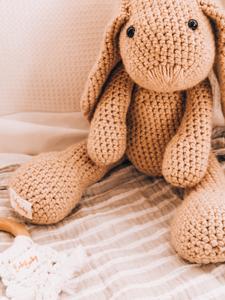 Harvey- The Riverine Rabbit