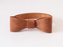 Little Gentleman’s Bow Tie