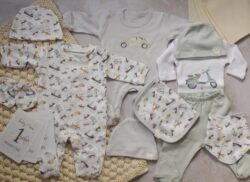 Transport newborn box