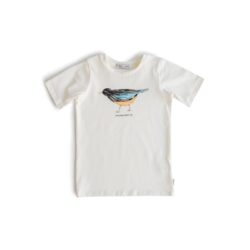 Basic T-Strandlopertjie