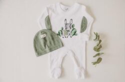 Donkey set – cacti design