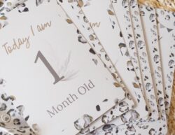 Leopard milestone cards