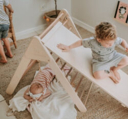 Wooden It Be Nice | Climbing / Step & Slide Board